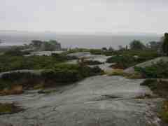 Site Lang� Regen