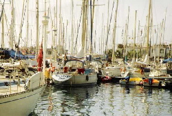 MS_Mogan_Mastenwald02