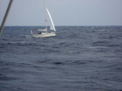 Aphrodite hat gefunkt