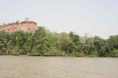 Baboon Island