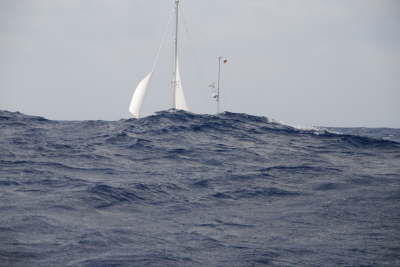 ...und was ist das??