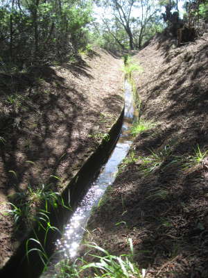 Levada