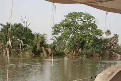 Janjan Bureh
