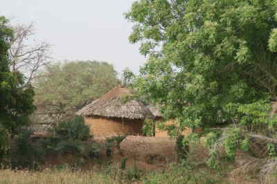 Janjan Bureh
