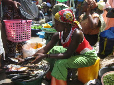 Serekunda Market